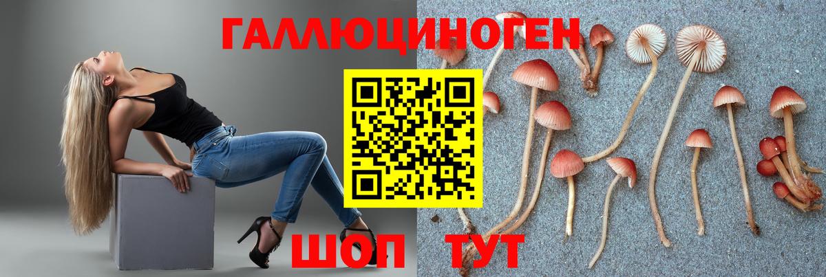 Галлюциногенные грибы прущие грибы Орск